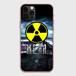 Чехол для iPhone 12 Pro Max S.T.A.L.K.E.R: Женя, цвет: 3D-светло-розовый