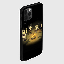 Чехол для iPhone 12 Pro Max Don’t Starve campfire, цвет: 3D-черный — фото 2