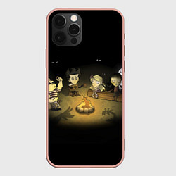 Чехол для iPhone 12 Pro Max Don’t Starve campfire, цвет: 3D-светло-розовый