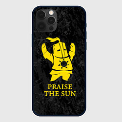 Чехол iPhone 12 Pro Max Praise The Sun