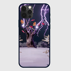 Чехол iPhone 12 Pro Max Громокот NY version