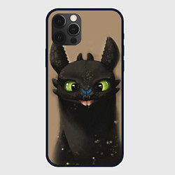 Чехол iPhone 12 Pro Max Как приручить дракона