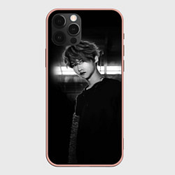 Чехол iPhone 12 Pro Max Stray Kids