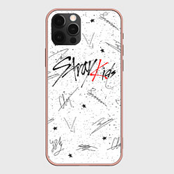 Чехол iPhone 12 Pro Max STRAY KIDS АВТОГРАФЫ