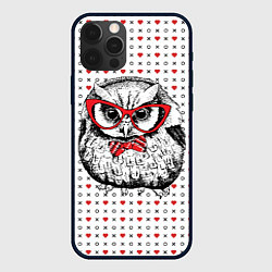 Чехол iPhone 12 Pro Max Мудрая сова в очках