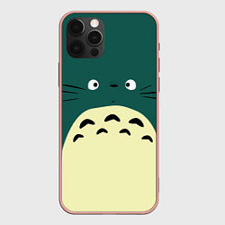 Чехол iPhone 12 Pro Max Totoro