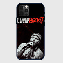 Чехол для iPhone 12 Pro Max Limp Bizkit, цвет: 3D-черный