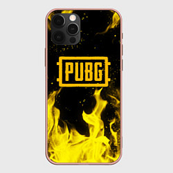 Чехол iPhone 12 Pro Max PUBG