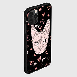Чехол для iPhone 12 Pro Max КИС-КИС, цвет: 3D-черный — фото 2