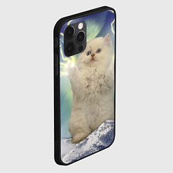 Чехол для iPhone 12 Pro Max Грозовой Котик, цвет: 3D-черный — фото 2