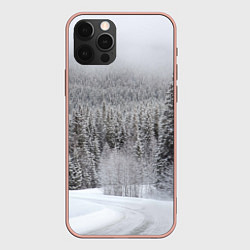 Чехол для iPhone 12 Pro Max Зимняя природа, цвет: 3D-светло-розовый