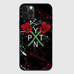 Чехол для iPhone 12 Pro Max Payton Moormeier: Black Style, цвет: 3D-черный