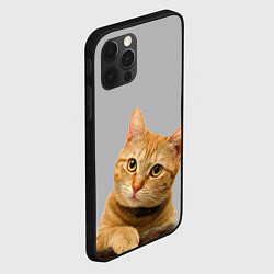 Чехол для iPhone 12 Pro Max Рыжий котик, цвет: 3D-черный — фото 2