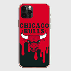 Чехол для iPhone 12 Pro Max Chicago Bulls, цвет: 3D-светло-розовый