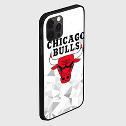 Чехол для iPhone 12 Pro Max CHICAGO BULLS, цвет: 3D-черный — фото 2