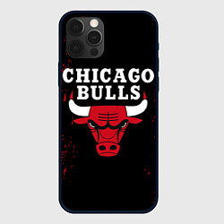 Чехол iPhone 12 Pro Max CHICAGO BULLS