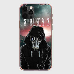 Чехол для iPhone 12 Pro Max Stalker 2 Зона, цвет: 3D-светло-розовый