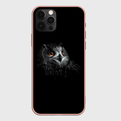 Чехол для iPhone 12 Pro Max Сова, цвет: 3D-светло-розовый