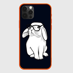 Чехол для iPhone 12 Pro Max Кролик Хипстер, цвет: 3D-красный