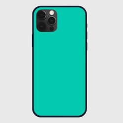 Чехол iPhone 12 Pro Max Бискайский зеленый без рисунка