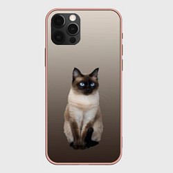 Чехол для iPhone 12 Pro Max Сиамский кот голубые глаза, цвет: 3D-светло-розовый