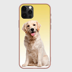 Чехол iPhone 12 Pro Max Лабрадор ретривер пес