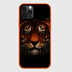 Чехол iPhone 12 Pro Max TIGER