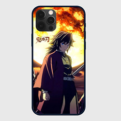 Чехол iPhone 12 Pro Max Demon Slayer: Kimetsu no Yaiba