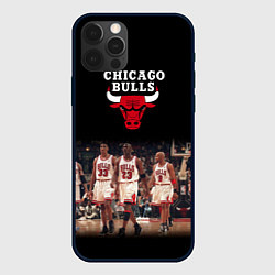 Чехол iPhone 12 Pro Max CHICAGO BULLS 3