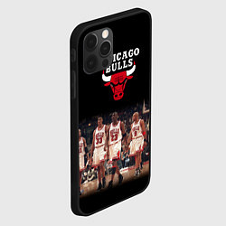 Чехол для iPhone 12 Pro Max CHICAGO BULLS 3, цвет: 3D-черный — фото 2