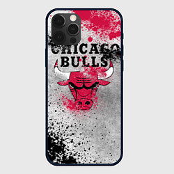 Чехол iPhone 12 Pro Max CHICAGO BULLS 8