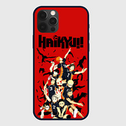 Чехол iPhone 12 Pro Max Старшая Карасуно Haikyuu!!