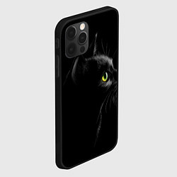 Чехол для iPhone 12 Pro Max Черный кот, цвет: 3D-черный — фото 2