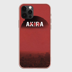 Чехол iPhone 12 Pro Max Акира