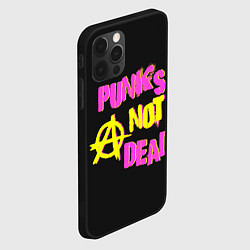 Чехол для iPhone 12 Pro Max Панк анархия, цвет: 3D-черный — фото 2
