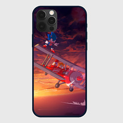 Чехол для iPhone 12 Pro Max AMY ROSE SONIC СОНИК Z, цвет: 3D-черный