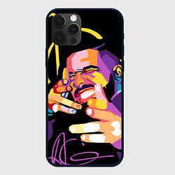 Чехол iPhone 12 Pro Max Drake