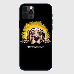 Чехол для iPhone 12 Pro Max Веймаранер Weimaraner, цвет: 3D-черный