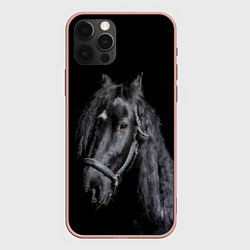 Чехол iPhone 12 Pro Max Лошадь на черном фоне