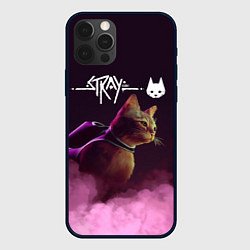 Чехол iPhone 12 Pro Max Stray