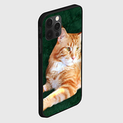 Чехол для iPhone 12 Pro Max Мейн кун рыжий кот, цвет: 3D-черный — фото 2