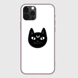 Чехол iPhone 12 Pro Max Чёрный мистический кот с полумесяцем
