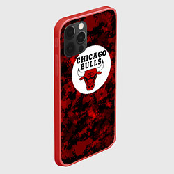 Чехол для iPhone 12 Pro Max CHICAGO BULLS ЧИКАГО БУЛЛС NBA, цвет: 3D-красный — фото 2