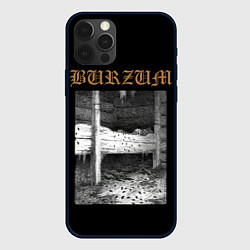 Чехол для iPhone 12 Pro Max Burzum cockroaches, цвет: 3D-черный