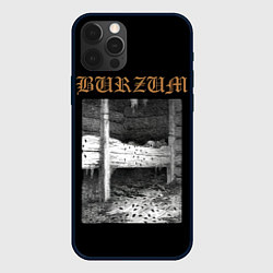 Чехол iPhone 12 Pro Max Burzum cockroaches