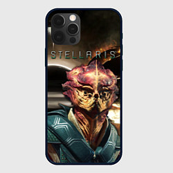 Чехол iPhone 12 Pro Max STELLARIS СТЕЛЛАРИС