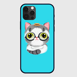 Чехол iPhone 12 Pro Max CAT IN A HAT