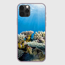 Чехол для iPhone 12 Pro Max Кораллы в тропических водах индийского океана, цвет: 3D-серый