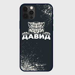 Чехол iPhone 12 Pro Max Давид зубастый волк