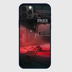 Чехол для iPhone 12 Pro Max STALKER Кот Смотрит В Окно Во Время Выброса, цвет: 3D-черный